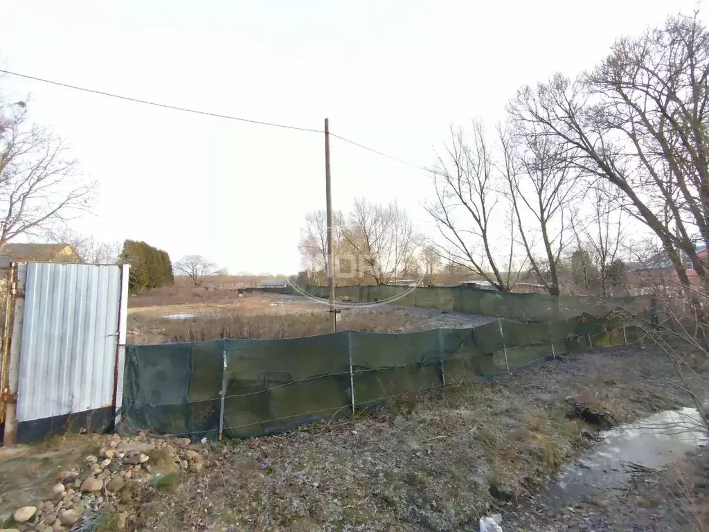 Участок в Калининградская область, Зеленоградский муниципальный округ, ... - Фото 2