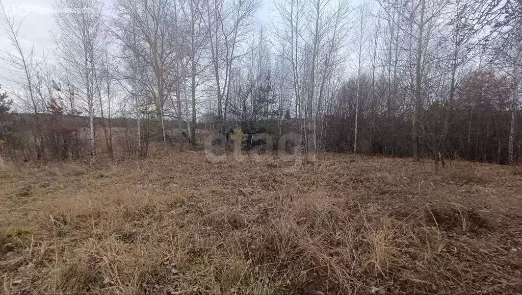 Участок в Кыштым, 2-я Иртяшская улица (20 м) - Фото 2