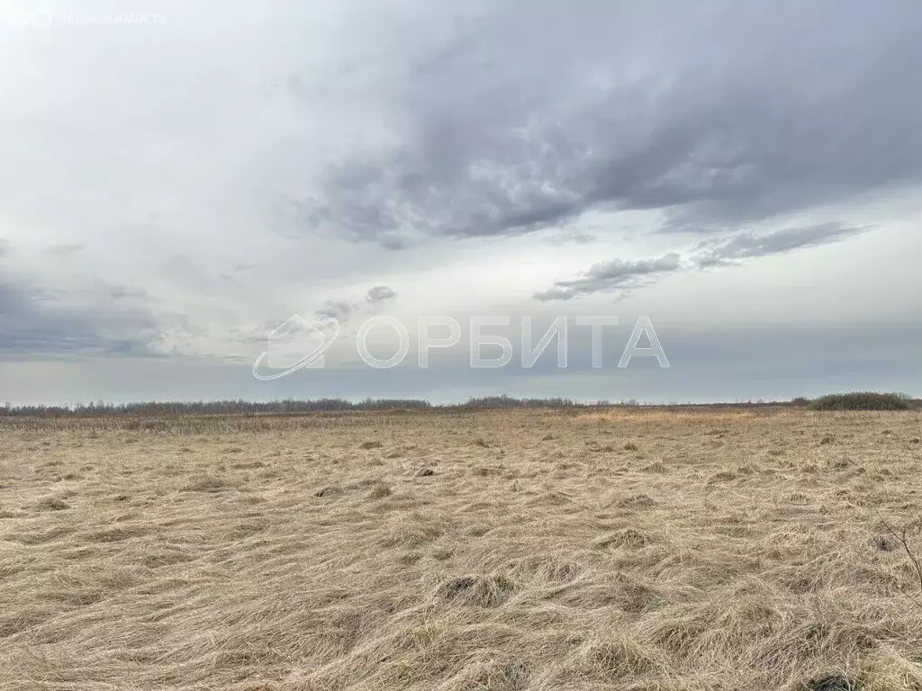 Участок в Тюменский муниципальный округ, село Ембаево (909 м) - Фото 1