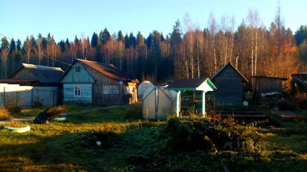 Дом в Архангельская область, Приморский муниципальный округ, Луч СНТ ... - Фото 1