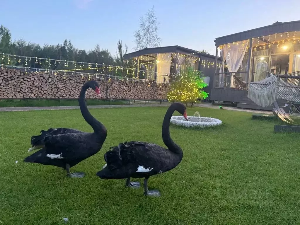 Дом в Ленинградская область, Всеволожский район, Сертоловское ... - Фото 1