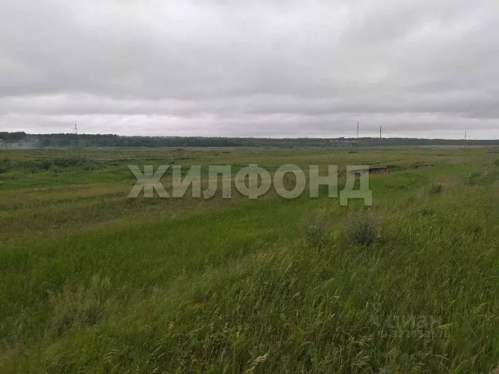 Участок в Новосибирская область, Коченевский район, Чик рп ул. Титова ... - Фото 0