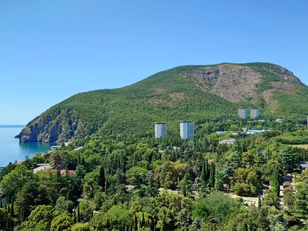 Свободной планировки кв. Крым, Алушта муниципальный округ, Партенит ... - Фото 2