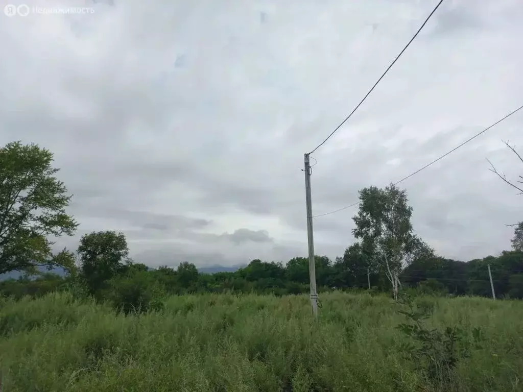 Участок в Партизанск, улица Революции, 33 (10 м) - Фото 1