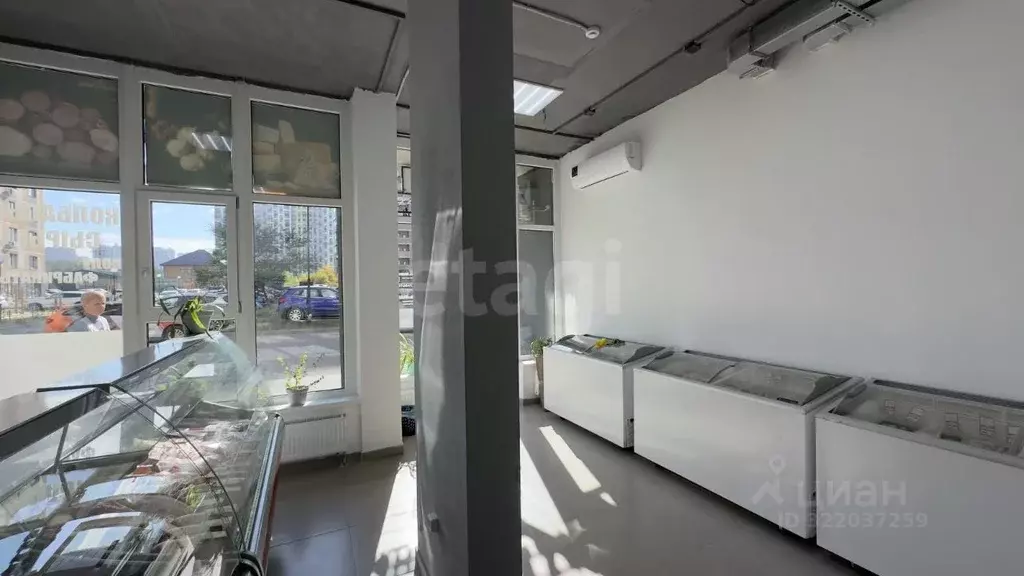 Торговая площадь в Воронежская область, Воронеж ул. Независимости, ... - Фото 1