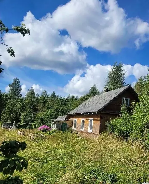Дом в Псковская область, Гдовский район, с. Чернево ул. Чкалова (48 м) - Фото 1