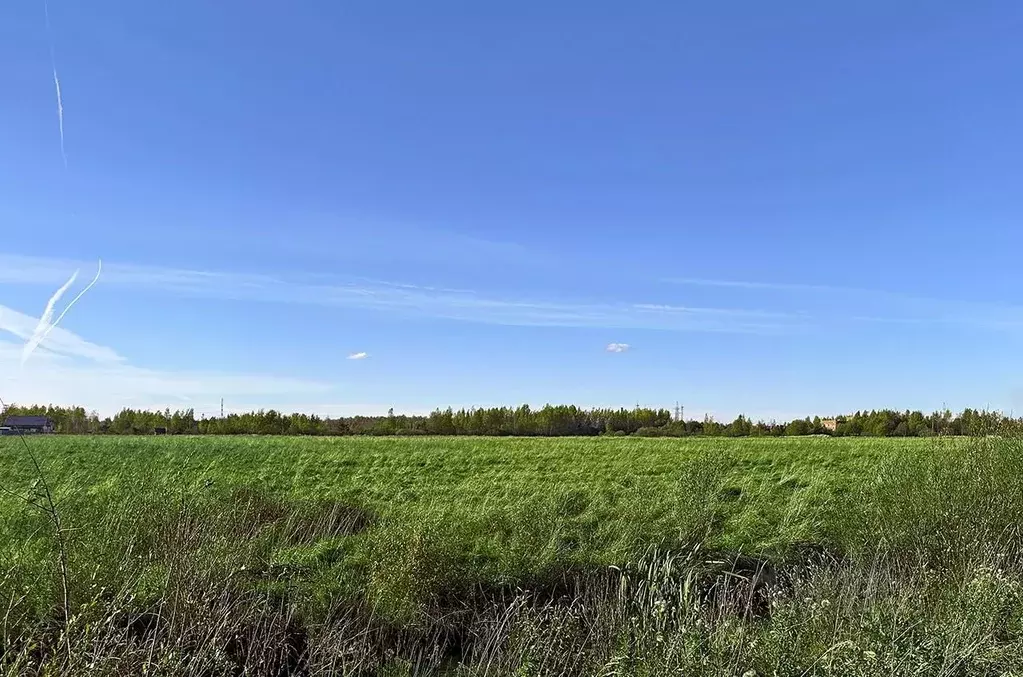 Участок в Санкт-Петербург, Санкт-Петербург, Петергоф ш. Ольгинское, ... - Фото 2