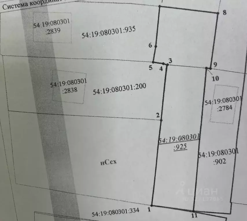 Участок в Новосибирская область, Новосибирский район, Мичуринский ... - Фото 1