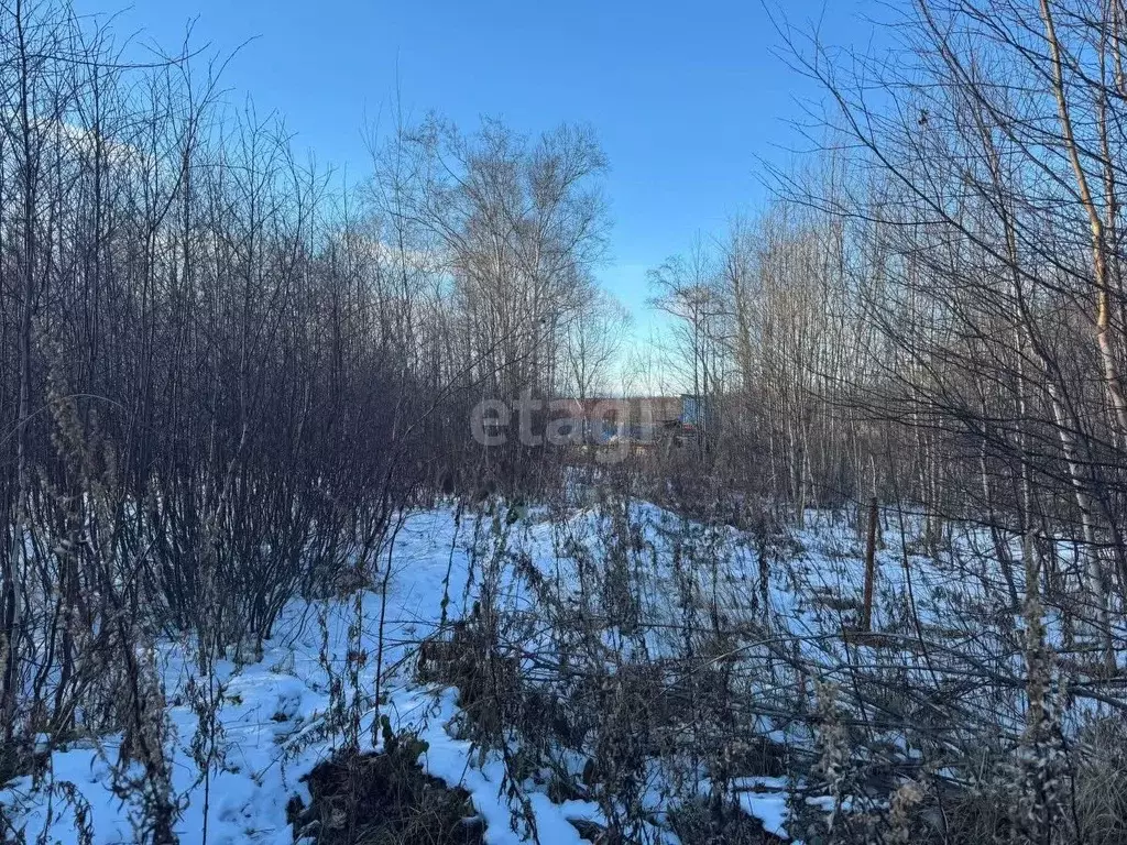 Участок в Камчатский край, Елизовский муниципальный округ, Якорь-2 СНТ ... - Фото 1