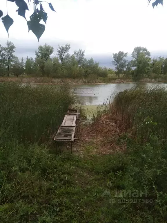 Дом в Саратовская область, Марксовский район, Подлесновское ... - Фото 1