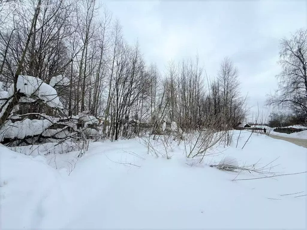 Участок в Владимирская область, Петушинский муниципальный округ, ... - Фото 2