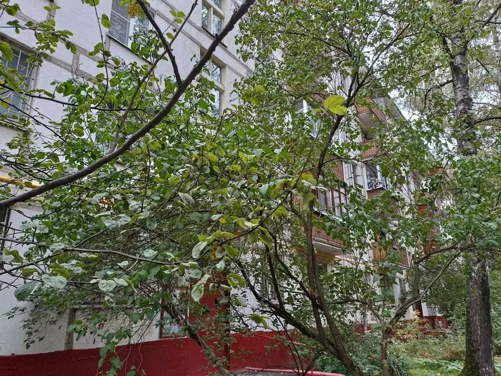2-к кв. Москва ул. Маршала Чуйкова, 22К1 (44.9 м) - Фото 1