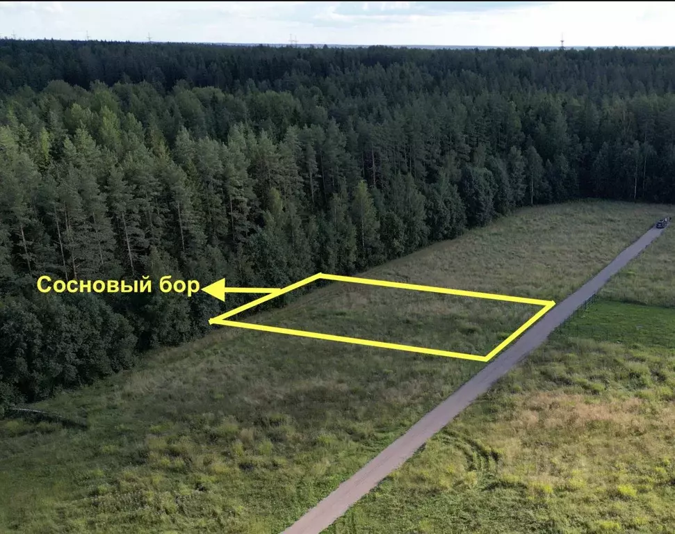 Участок в Ленинградская область, Выборгский район, Красносельское ... - Фото 0