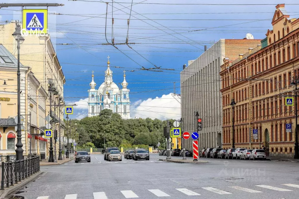 Помещение свободного назначения в Санкт-Петербург Суворовский просп., ... - Фото 1