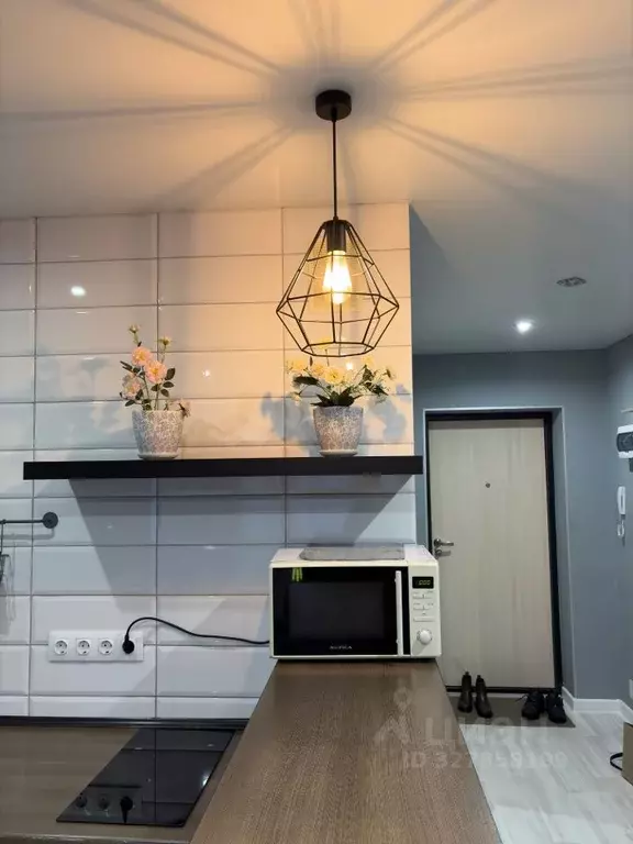 Студия Самарская область, Тольятти ул. 40 лет Победы, 51В (25.0 м) - Фото 2