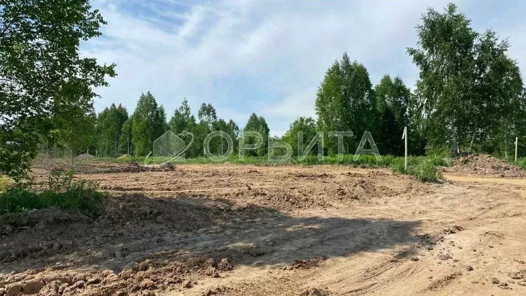 Участок в Тюменская область, Нижнетавдинский район, д. Штакульская  ... - Фото 1