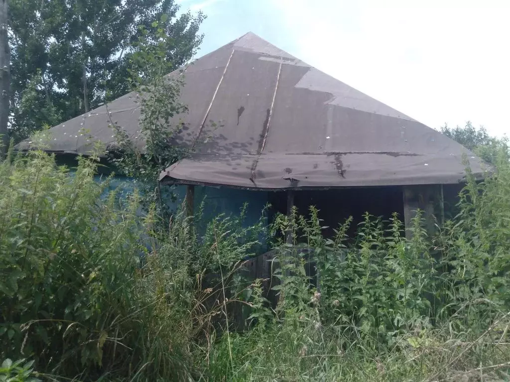 Свободной планировки кв. Нижегородская область, Перевозский ... - Фото 1