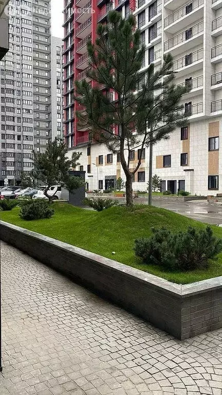 Квартира-студия: Ростов-на-Дону, проспект Соколова, 68с2 (22 м) - Фото 1