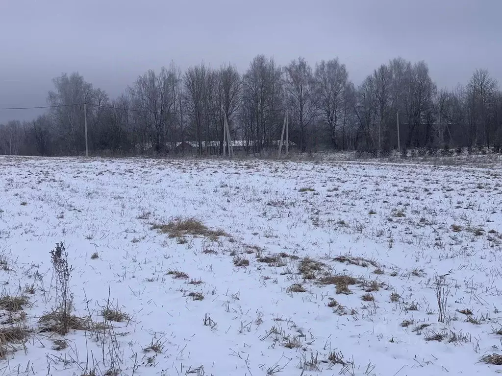 Участок в Московская область, Истра муниципальный округ, д. ... - Фото 0