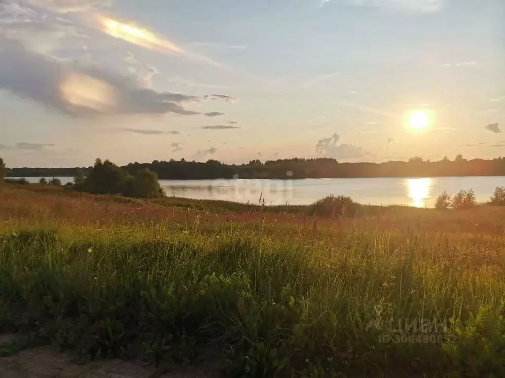 Участок в Смоленская область, Гагаринский муниципальный округ, с. ... - Фото 0