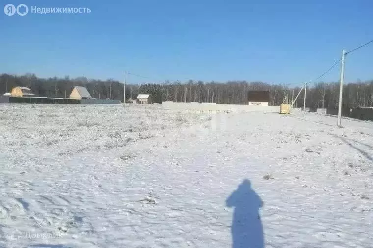 Участок в Лямбирский район, Берсеневское сельское поселение, село ... - Фото 0