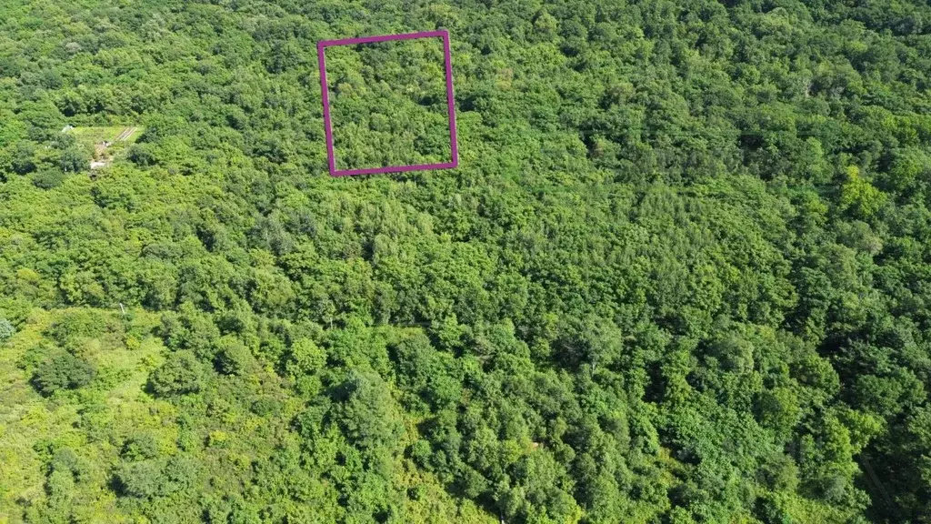 Участок в Приморский край, Шкотовский муниципальный округ, с. ... - Фото 1