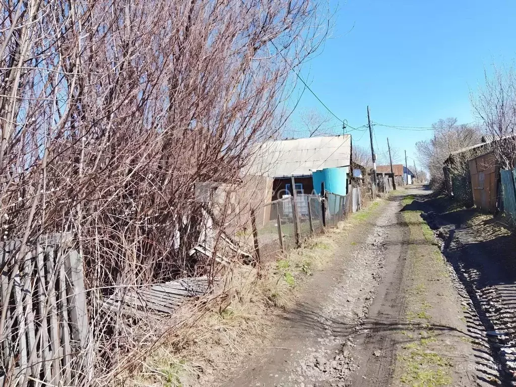 Участок в Кемеровская область, Новокузнецк Цементник-1 СНТ, 103 (7.0 ... - Фото 0