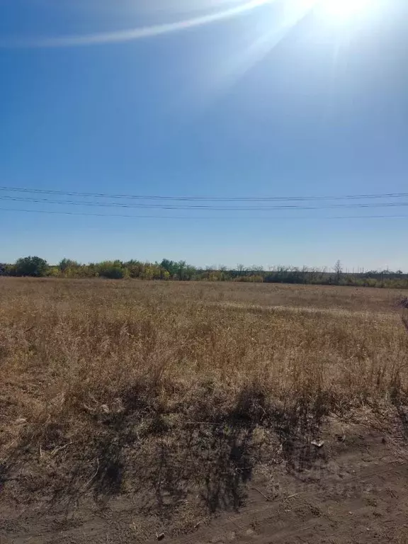 Участок в Воронежская область, Россошанский район, Новопостояловское ... - Фото 0