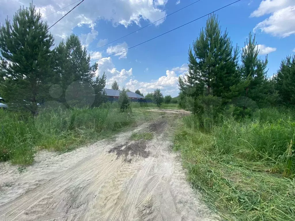Участок 7,5 сот. (ИЖС) - Фото 1