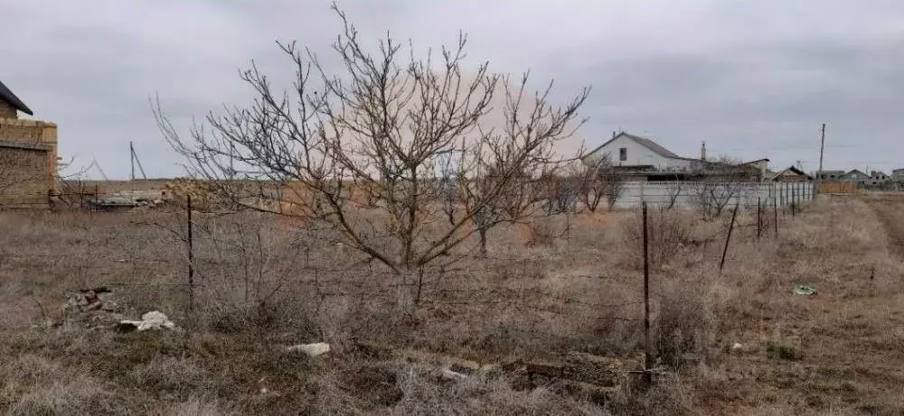 Участок в Крым, Сакский район, с. Лесновка ул. Абрикосовая (10.0 сот.) - Фото 0