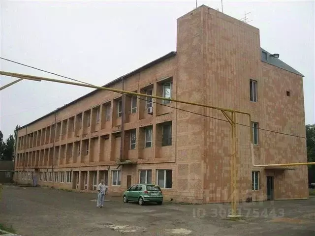 Помещение свободного назначения в Ростовская область, пос. Орловский ... - Фото 1