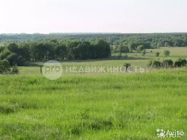 Участок в Рязанская область, Кораблинский муниципальный округ, д. ... - Фото 0