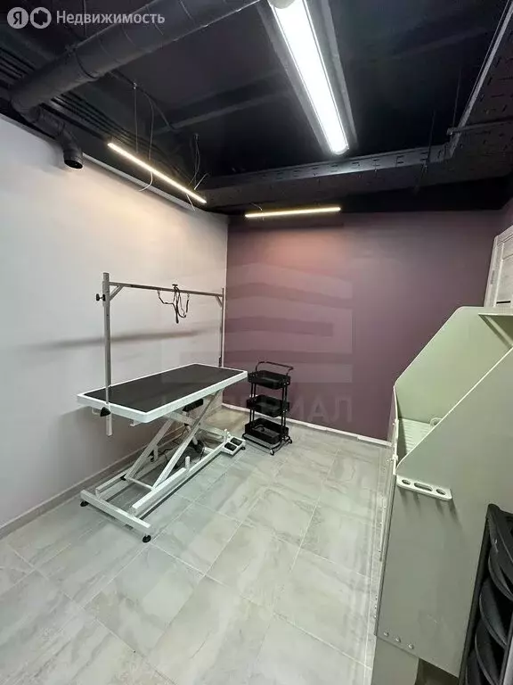 Помещение свободного назначения (16.8 м) - Фото 2