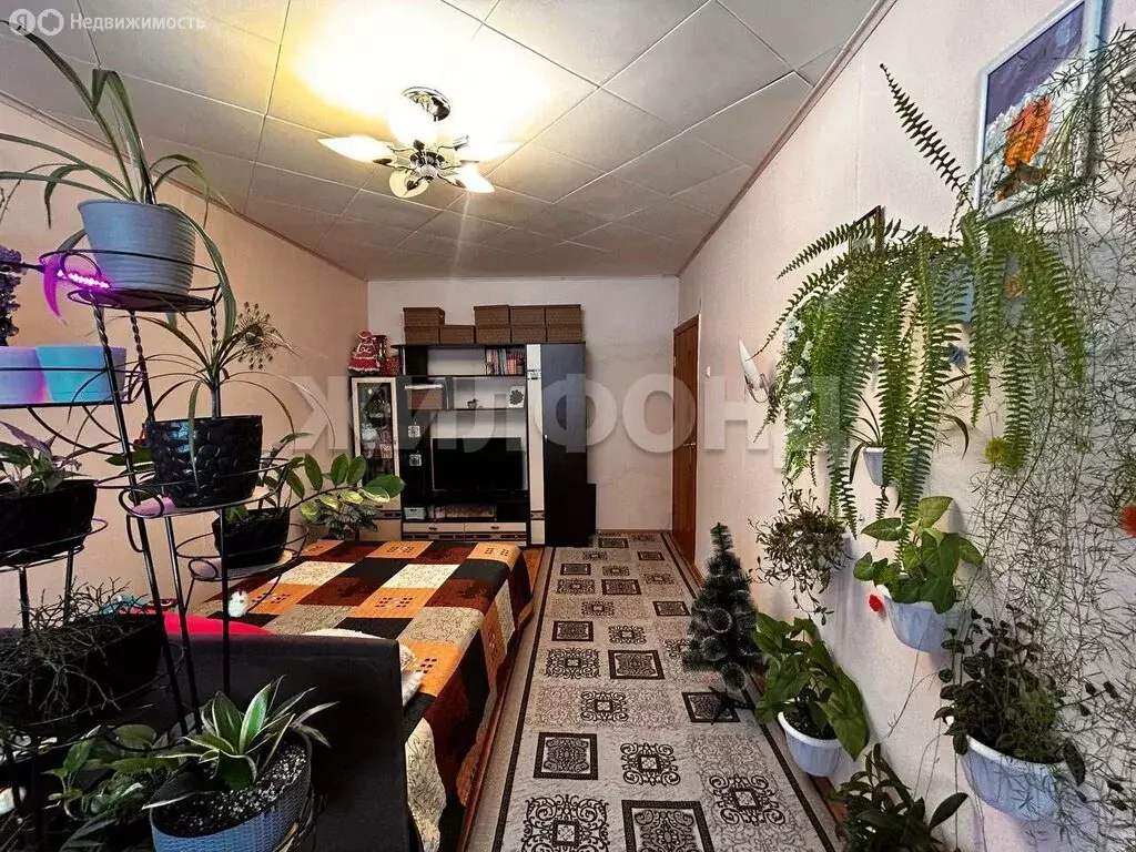 1-комнатная квартира: посёлок Керамкомбинат, Школьная улица, 12 (33.4 ... - Фото 1