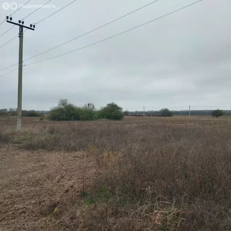 Участок в Темрюк, садово-огородное товарищество Северные Сады (6.84 м) - Фото 0