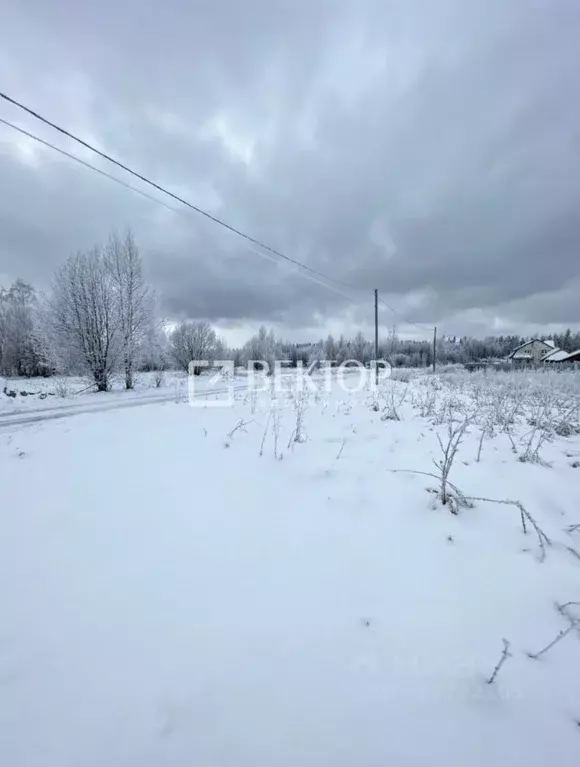Участок в Костромская область, Костромской район, Кузьмищенское с/пос, ... - Фото 1