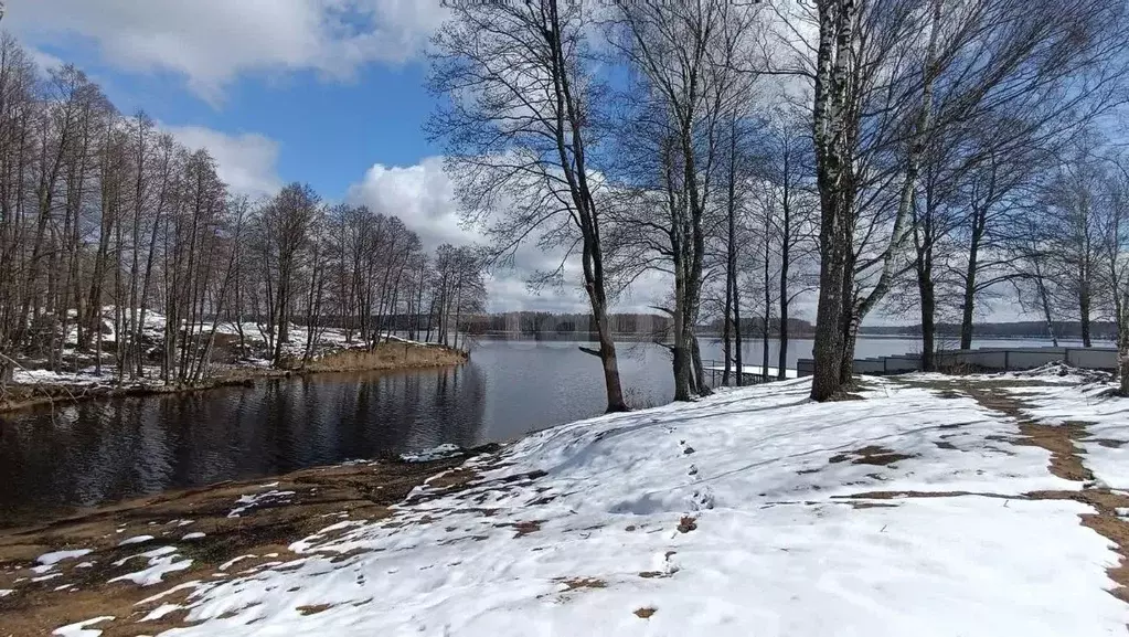 Дом в Смоленская область, Рославльский муниципальный округ, д. Добрый  ... - Фото 1