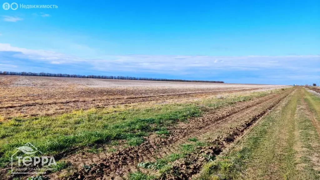 Участок в село Суворовское, Солнечная улица, 8 (8 м) - Фото 0