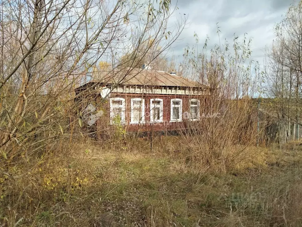 Дом в Рязанская область, Касимовский муниципальный округ, Сынтул рп ... - Фото 0