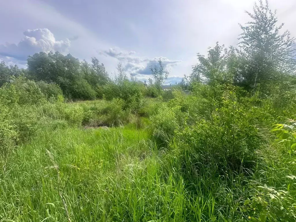 Участок в Московская область, Богородский городской округ, д. ... - Фото 0
