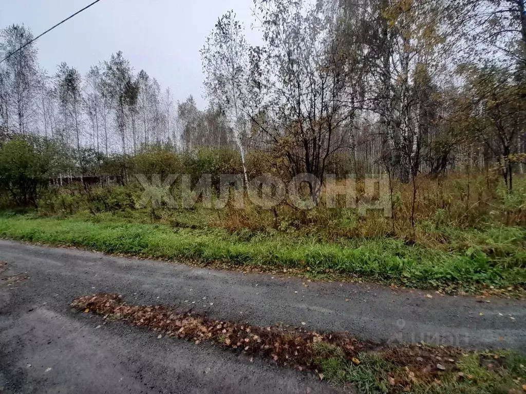 Участок в Новосибирская область, Мошковский район, Недача кп  (11.0 ... - Фото 2