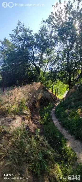 Участок в Большой Лог, улица Фадеева (10 м) - Фото 0
