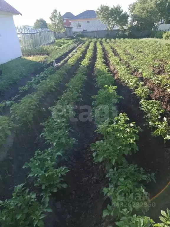 Дом в Брянская область, Брянский район, Добрунское с/пос, д. Тешеничи, ... - Фото 2