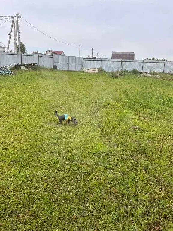 Участок в Московская область, Раменский муниципальный округ, ... - Фото 2