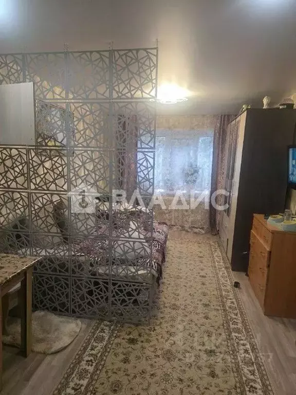 Комната Владимирская область, Владимир ул. Горького, 89 (17.3 м) - Фото 1