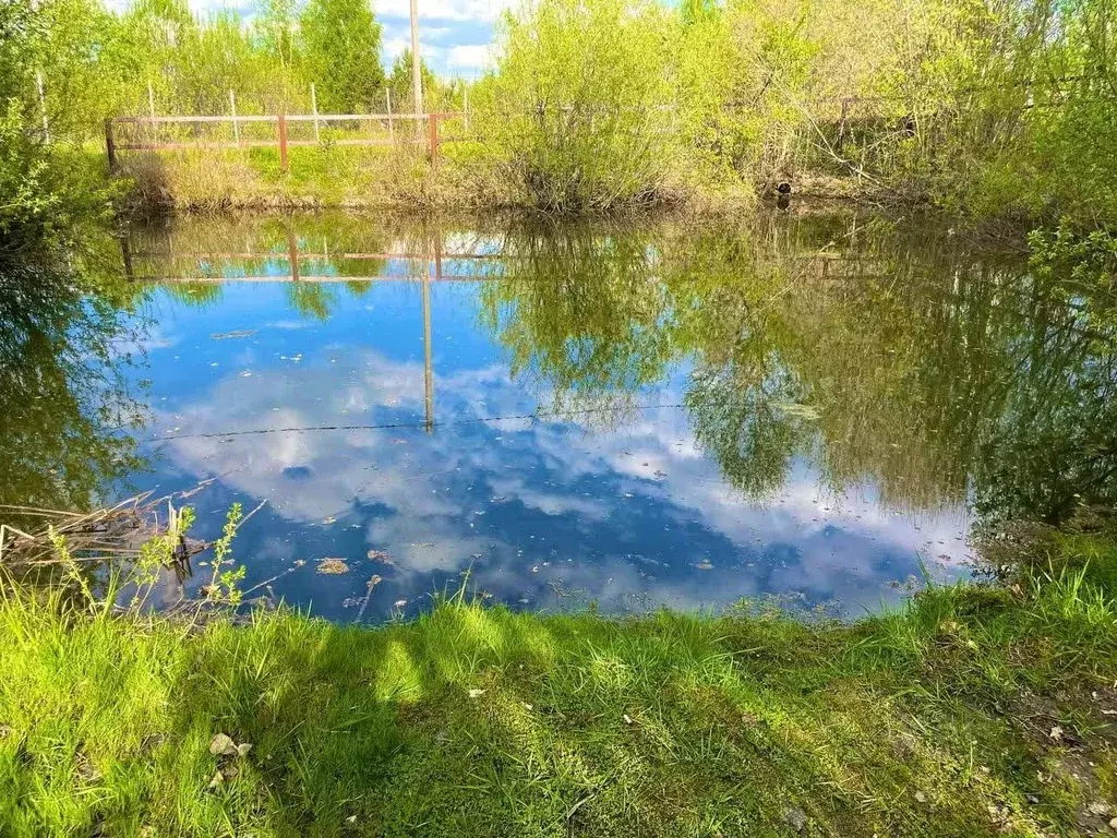 Участок в Московская область, Клин городской округ, Орлово СНТ, 13-й ... - Фото 1