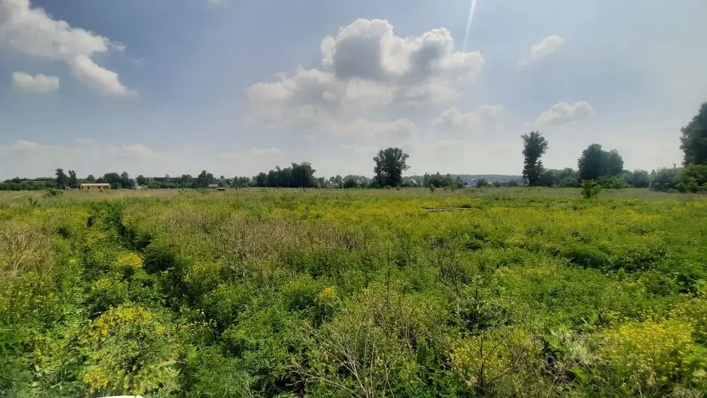 Участок в Кемеровская область, Кемеровский район, с. Елыкаево ... - Фото 0