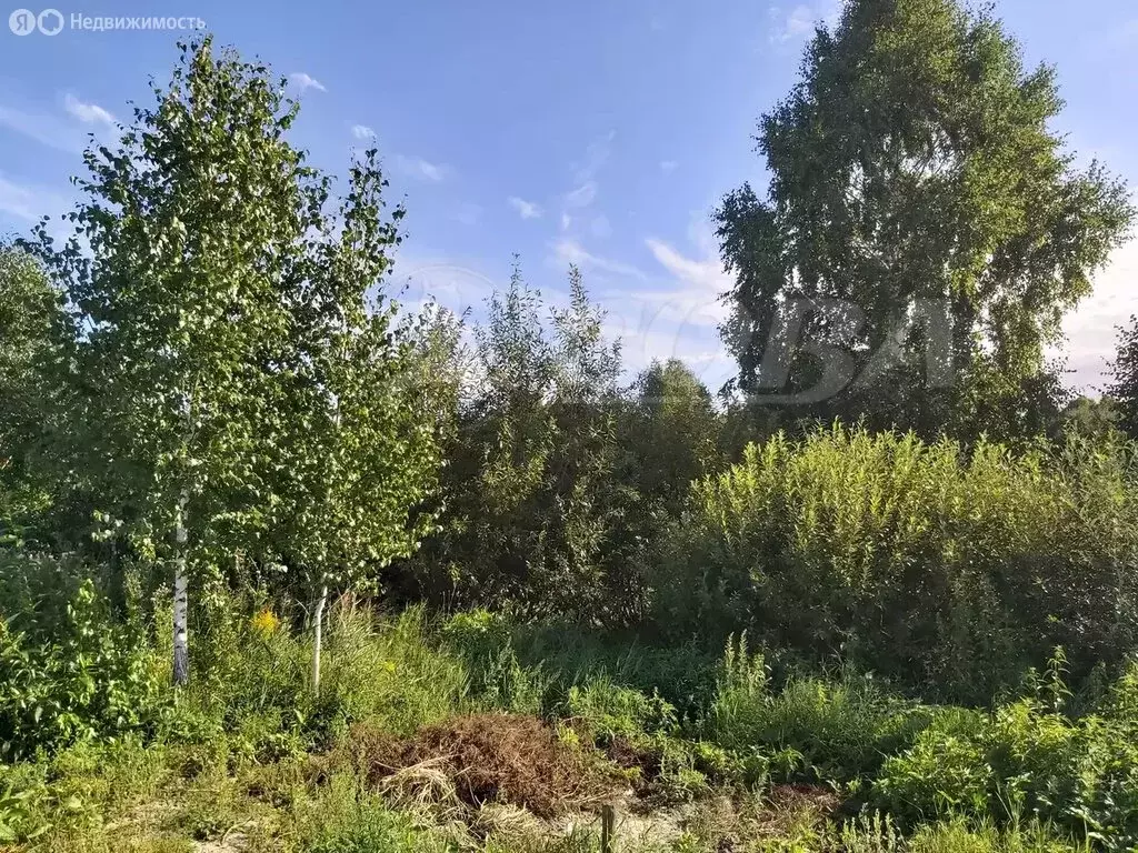 Участок в Тюменская область, Исетский муниципальный округ, село ... - Фото 1