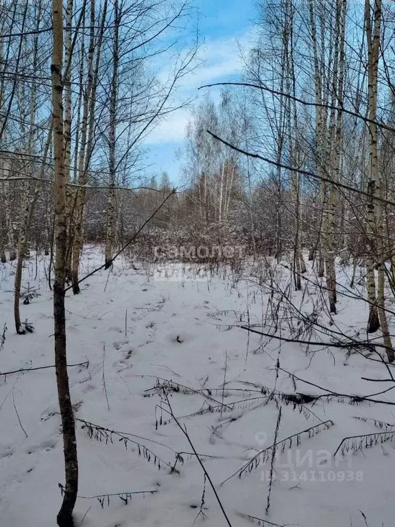 Участок в Владимирская область, Камешковский район, Второвское ... - Фото 0