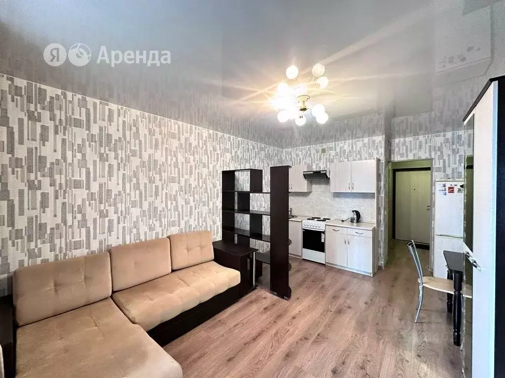 Студия Санкт-Петербург Екатерининский просп., 2 (25.0 м) - Фото 1